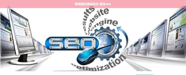 聊城陽谷網站優化、SEO與計算機軟件開發銷售一體化服務解析
